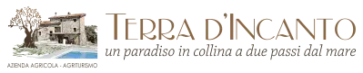 LOGO 2023 ocra